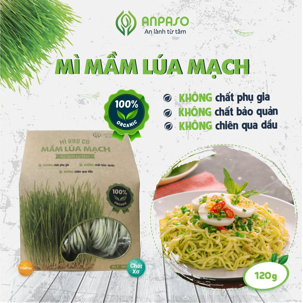 Mì Mầm Lúa Mạch Organic 120g